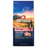 Ontario Large Adult Chicken with Sweet potatoes  12 kg